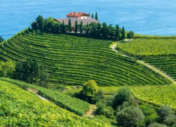 Hotel con visita a bodegas en Euskadi